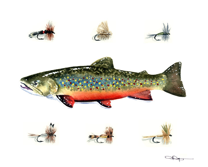Brook Trout