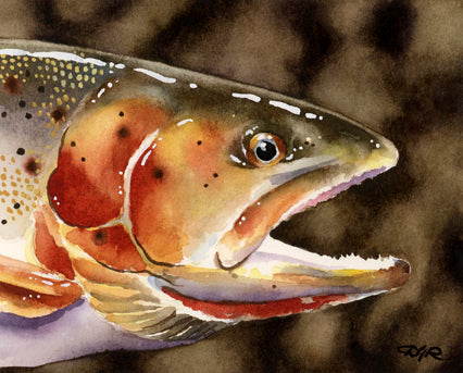 Cutthroat Trout
