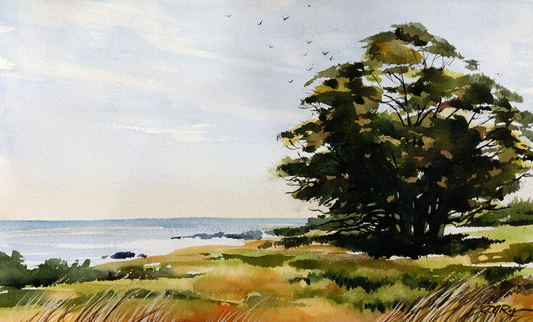 Peaceful Shore