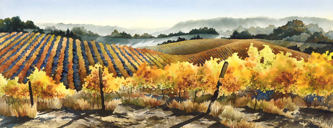Paso Vineyard