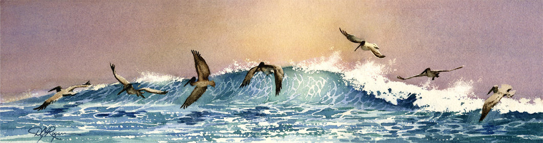 Pelicans