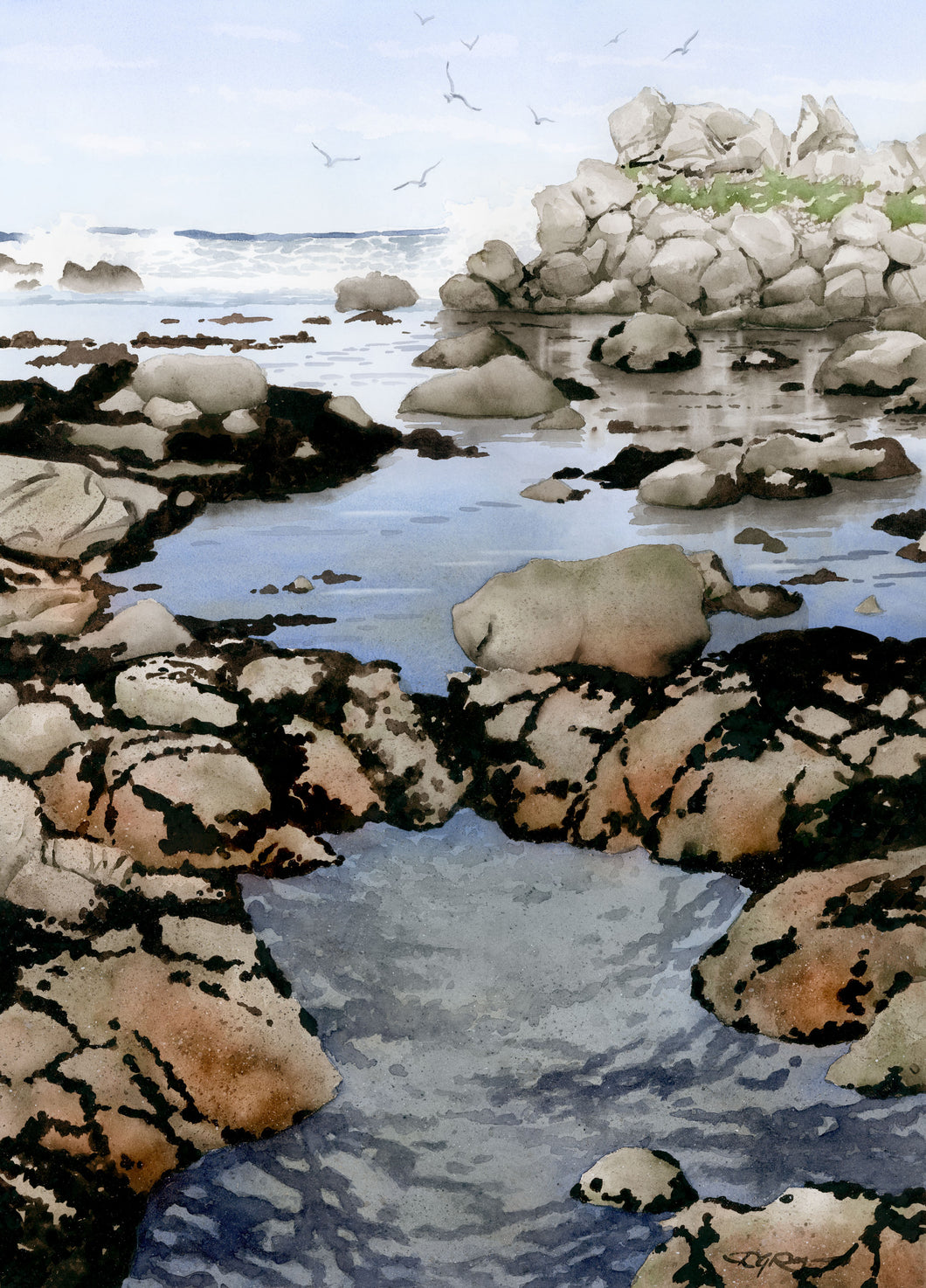 Tidepool