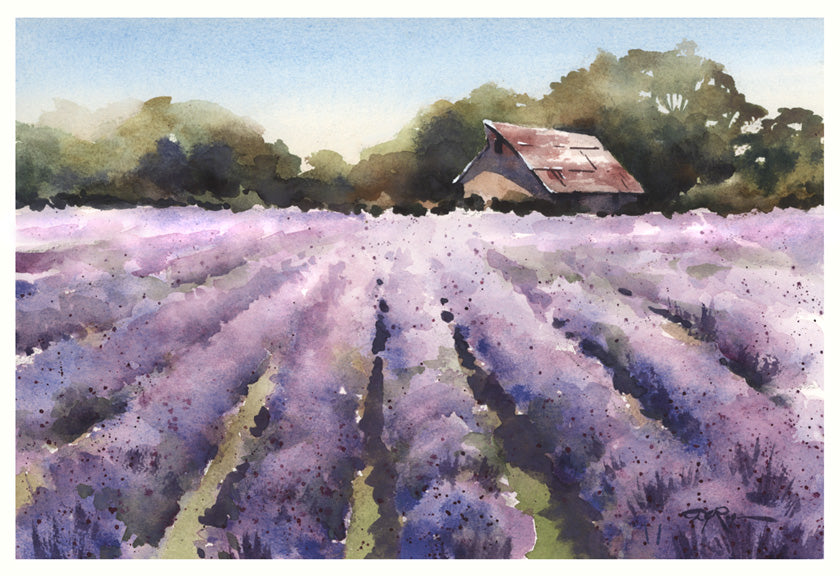 lavender plant watercolor "Field of Lavender" Watercolor Mastery Workshop