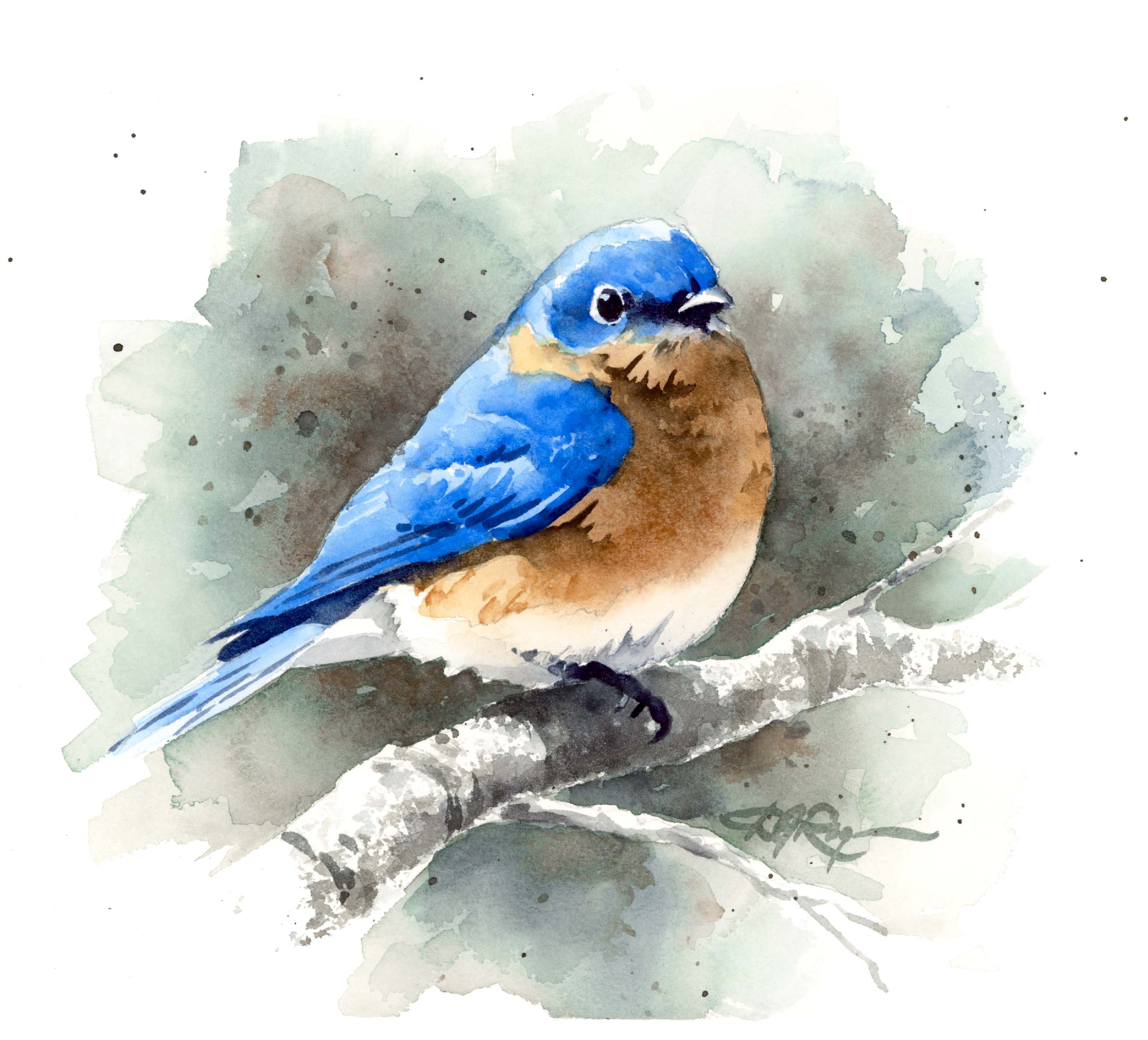 Painting Birds in Watercolor Watercolor Mastery Workshop