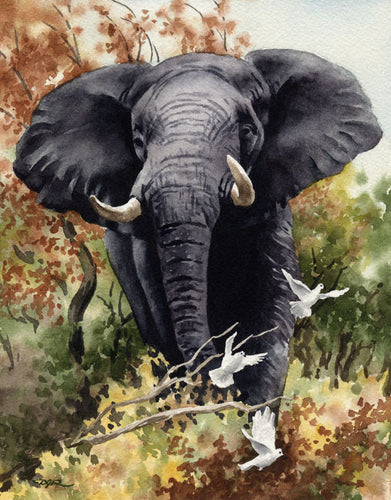 African Elephant