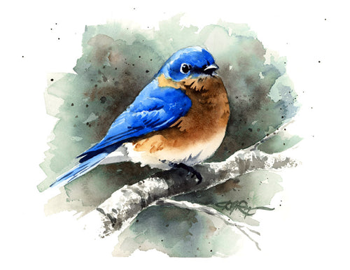 Bluebird II