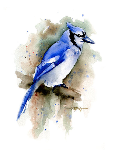 Blue Jay