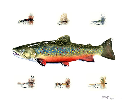 Brook Trout