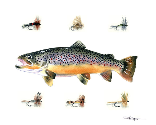 Brown Trout II