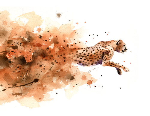 Cheetah