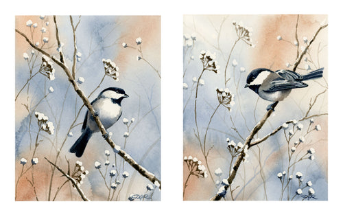 Chickadees