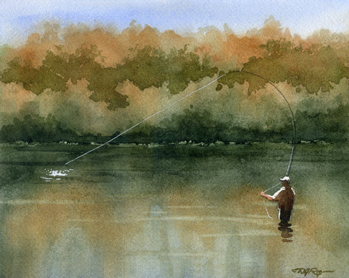 Serenity