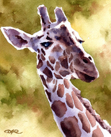 Giraffe