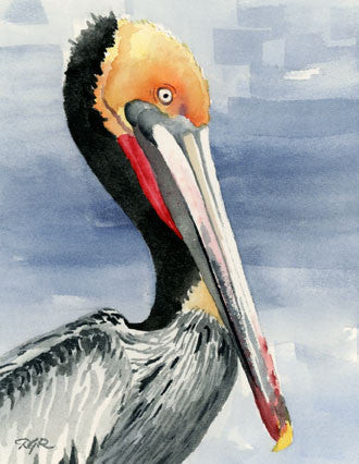 Pelican