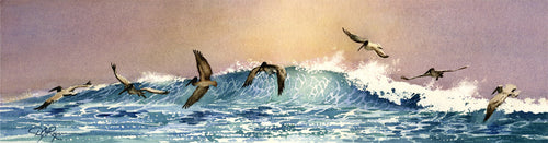 Pelicans