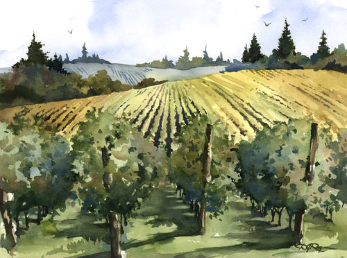 Watercolor Vineyards