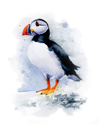 Puffin