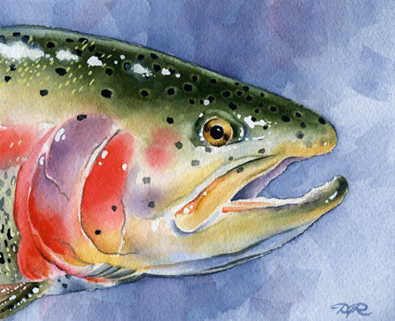 Rainbow Trout