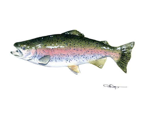 Rainbow Trout II