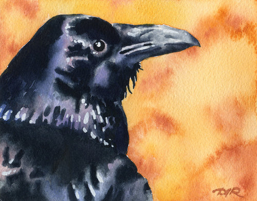 Raven II