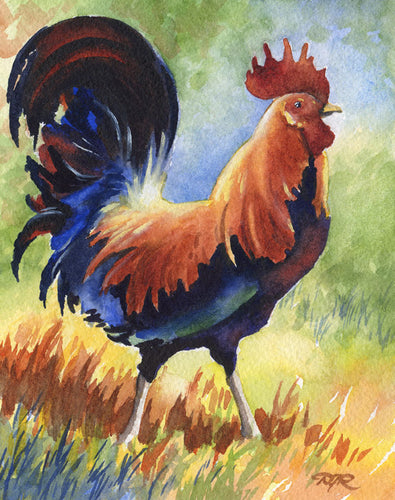 Rooster