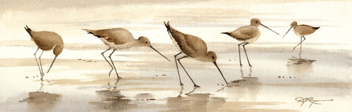 Sand Pipers