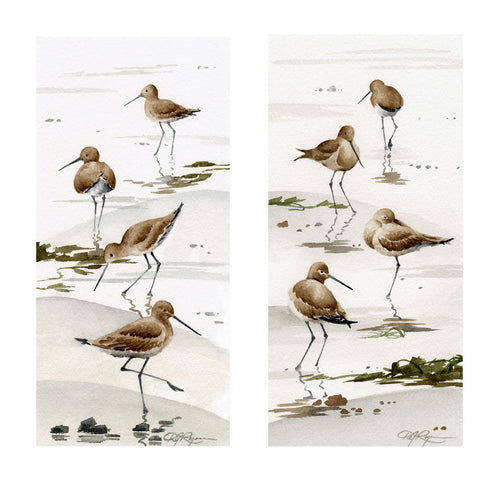 Sand Pipers