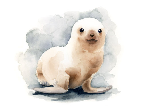 Seal Pup