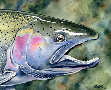 Steelhead Trout