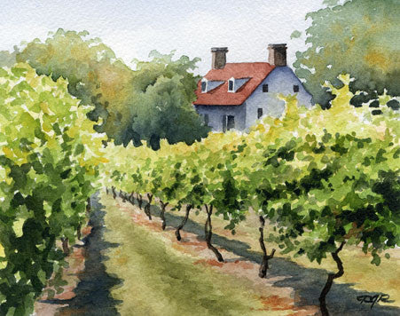 Napa Vineyard