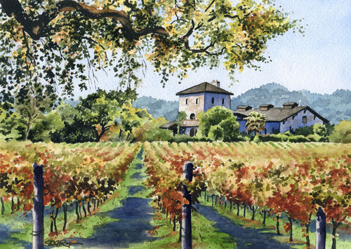 Vineyard Home